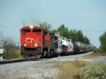 CN 8019